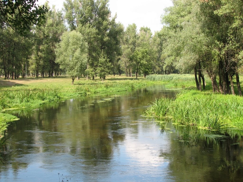 Речка Красная