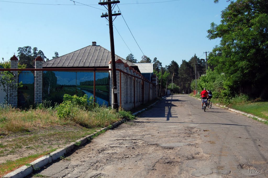 картина на заборе
