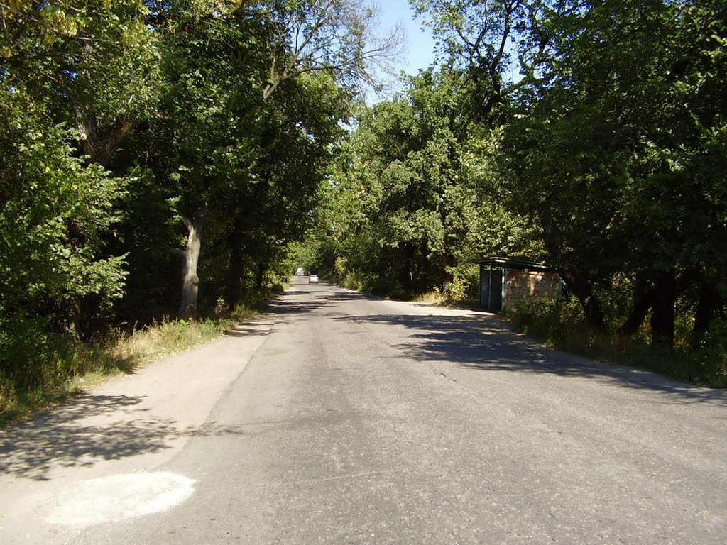 Дорога на Северодонецк
