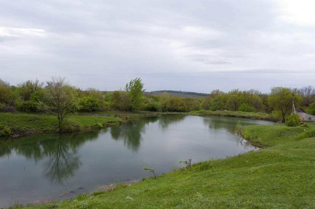 Pond