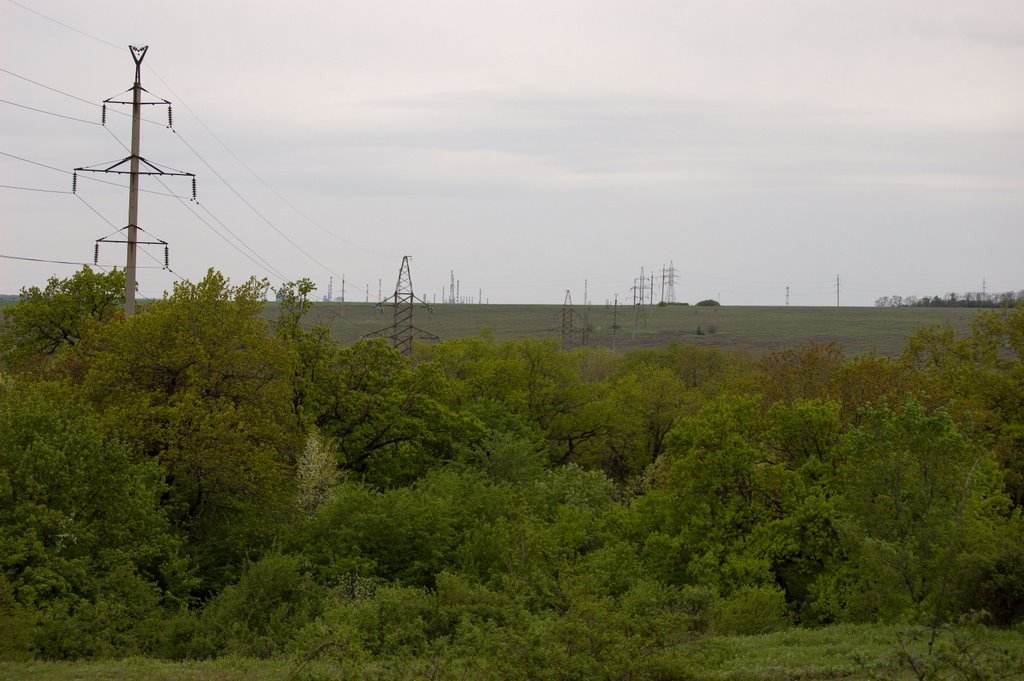 Power line & trees