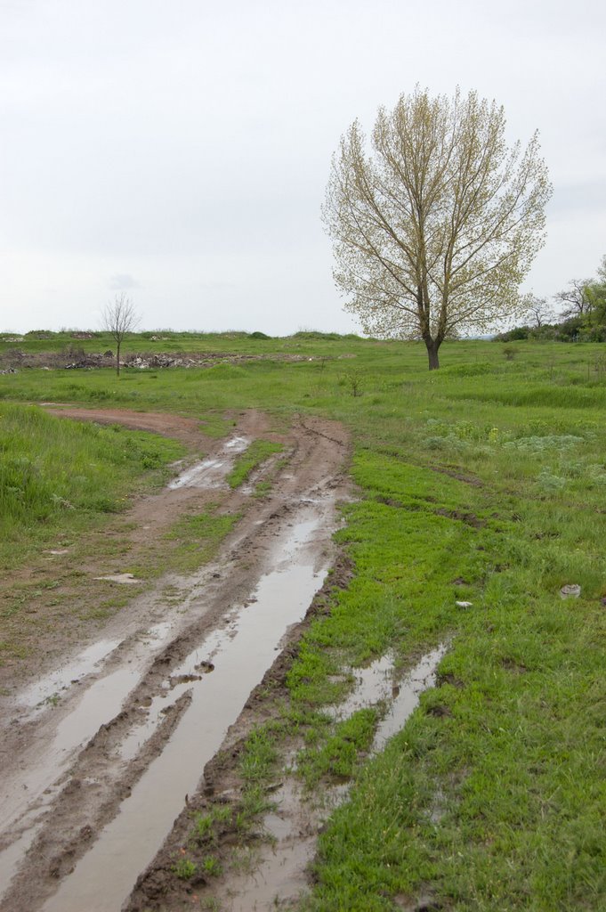 Old Road