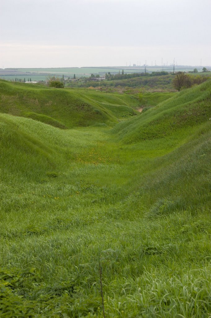 Green field