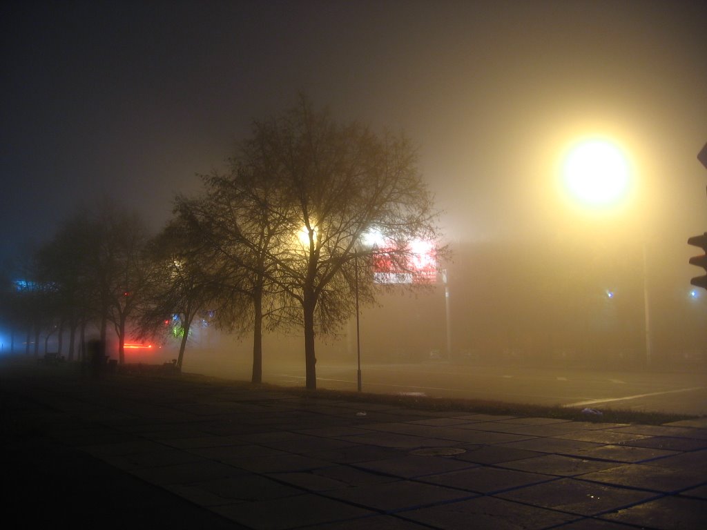 Kocubynskoho street in mist
