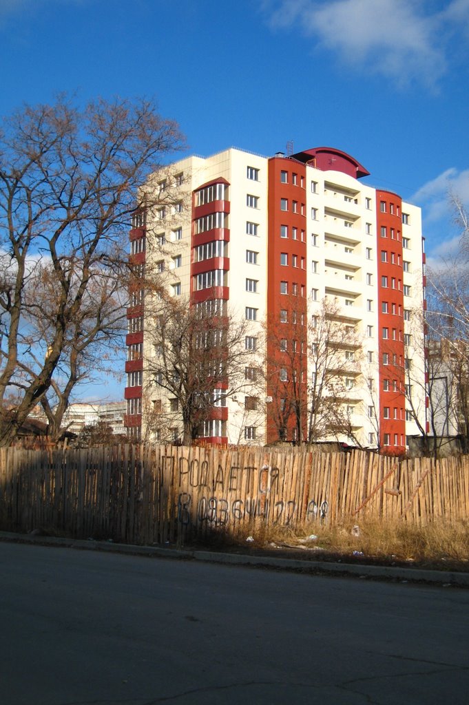 Новое растёт из старого. A new grows from an old.