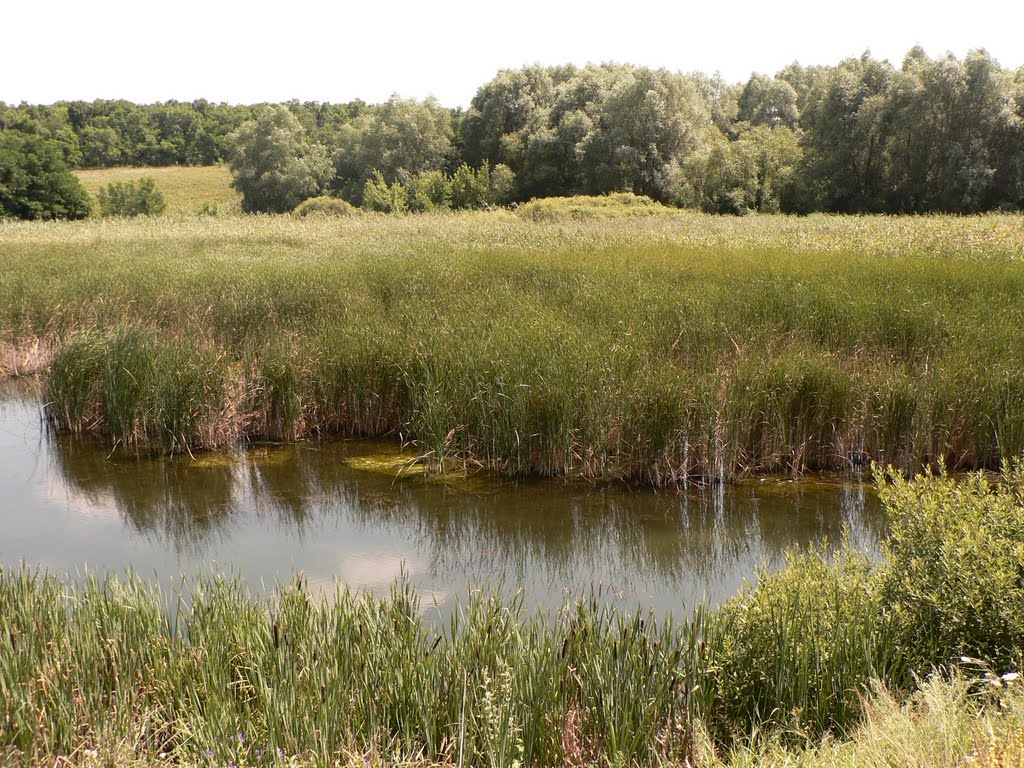 Лутугинское водохранилище