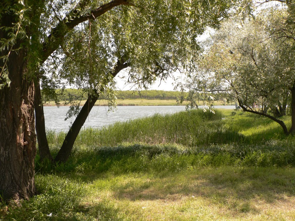 Лутугинское водохранилище