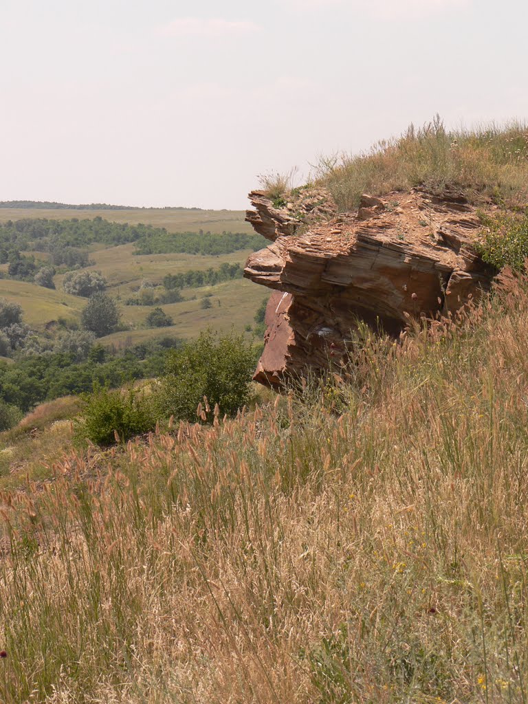 Окрестности Лутугино