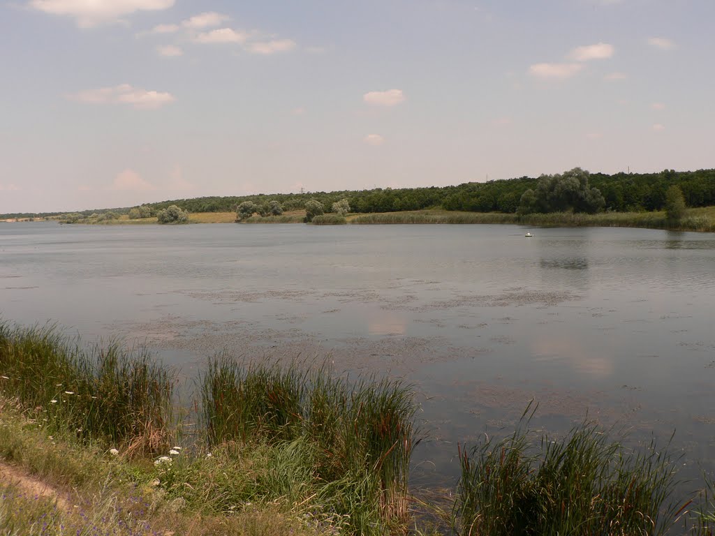 Лутугинское водохранилище