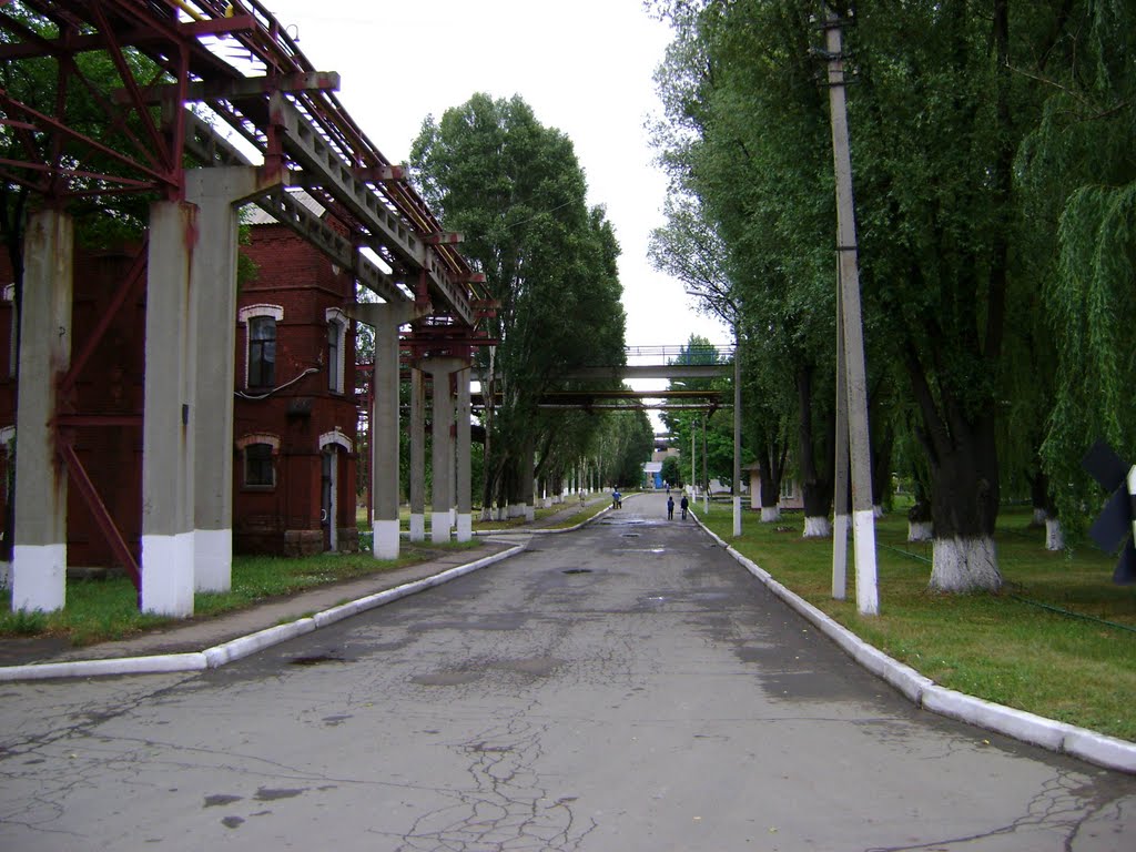 вид в сторону пешеходного моста
