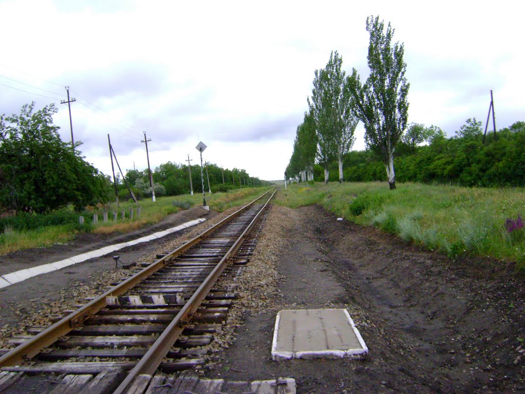 жд переезд