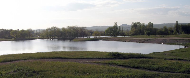 Ставок