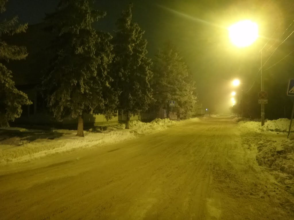 Улица Карла Маркса