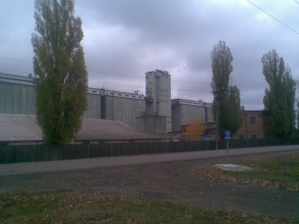 Чертковский элеватор