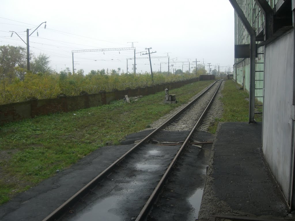 Ж.д. пути элеватора
