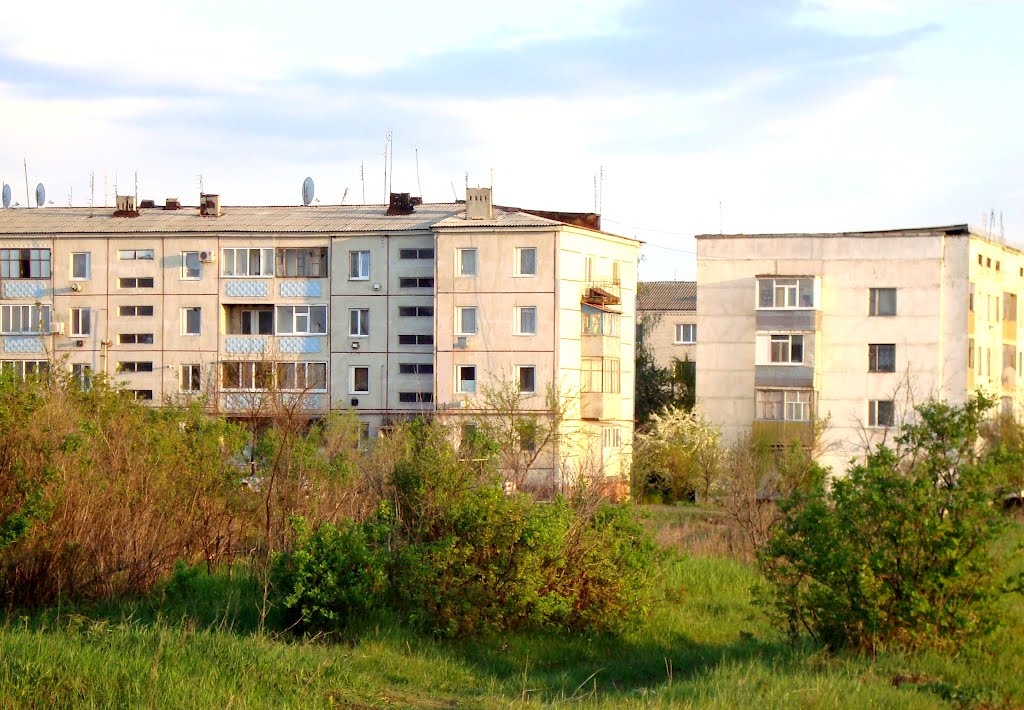 Будинки