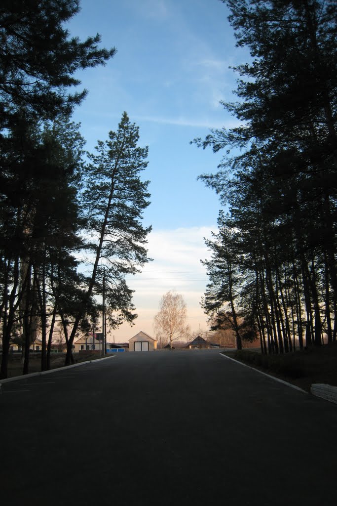 Новопсков. Novopskov.