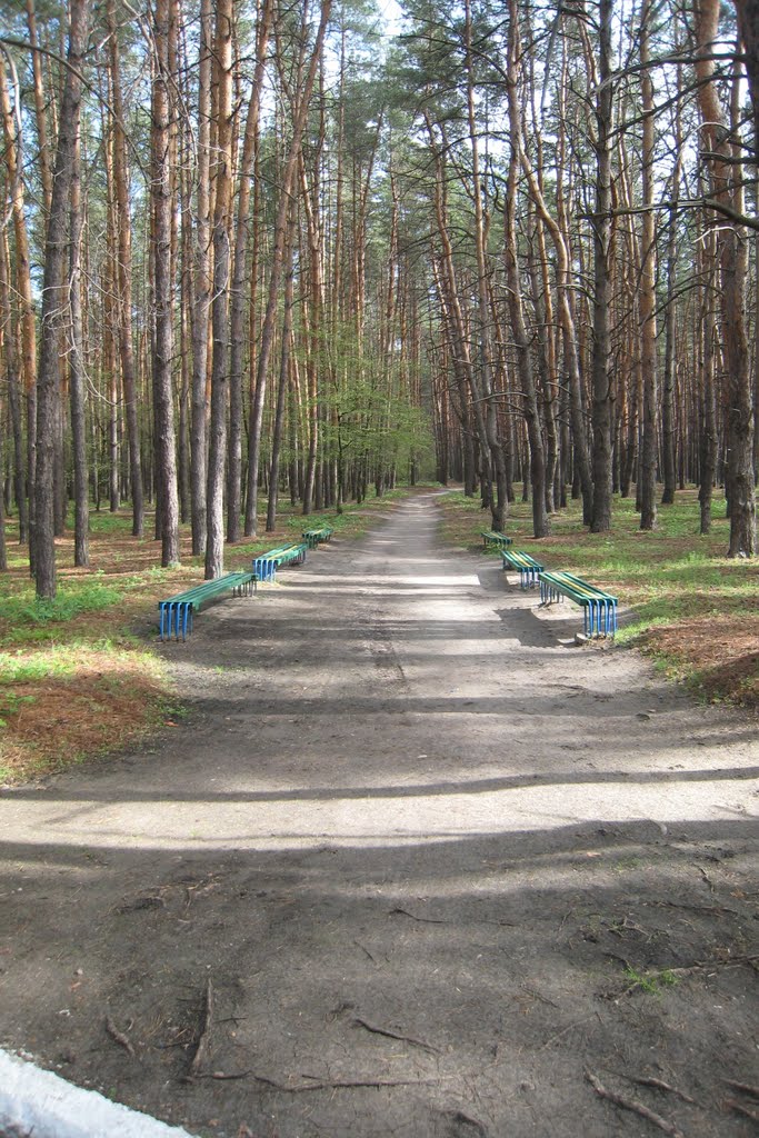 Санаторий Жемчужена. Sanatorium Zhemchuzhyna.