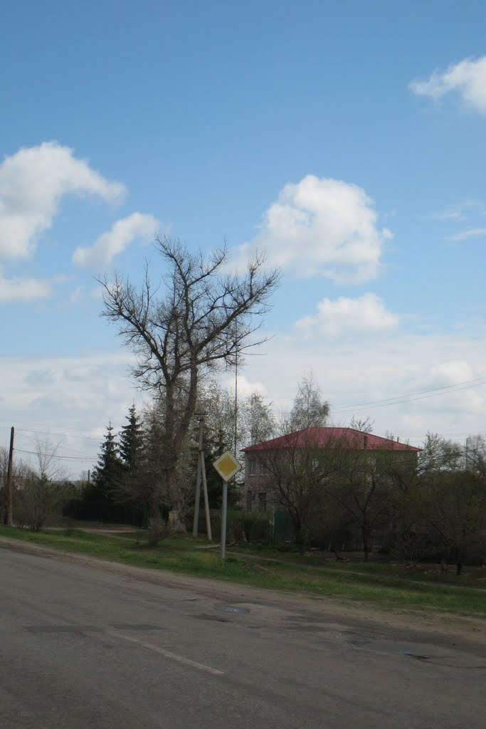 Новопсков. Novopskov.