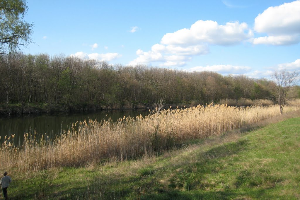 Ajdar river bank. Берег Айдара.