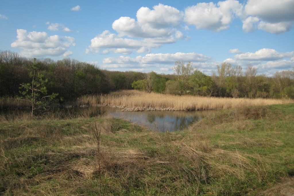 Ajdar river bank. Берег Айдара.