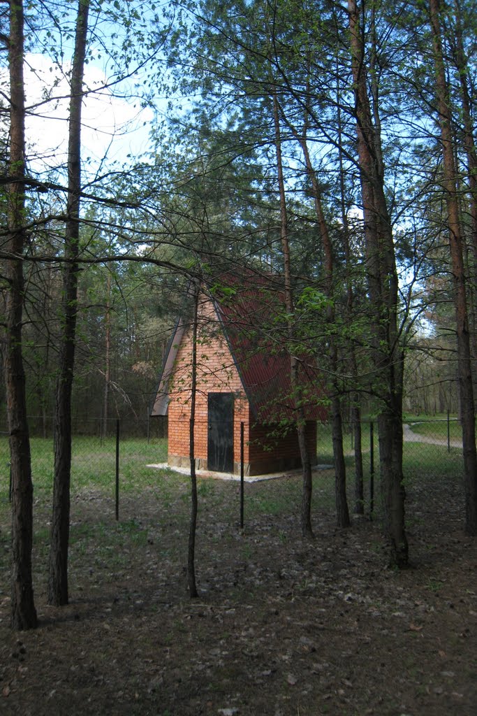 Санаторий Жемчужена. Sanatorium Zhemchuzhyna.
