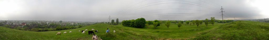 Вид на Павловск
