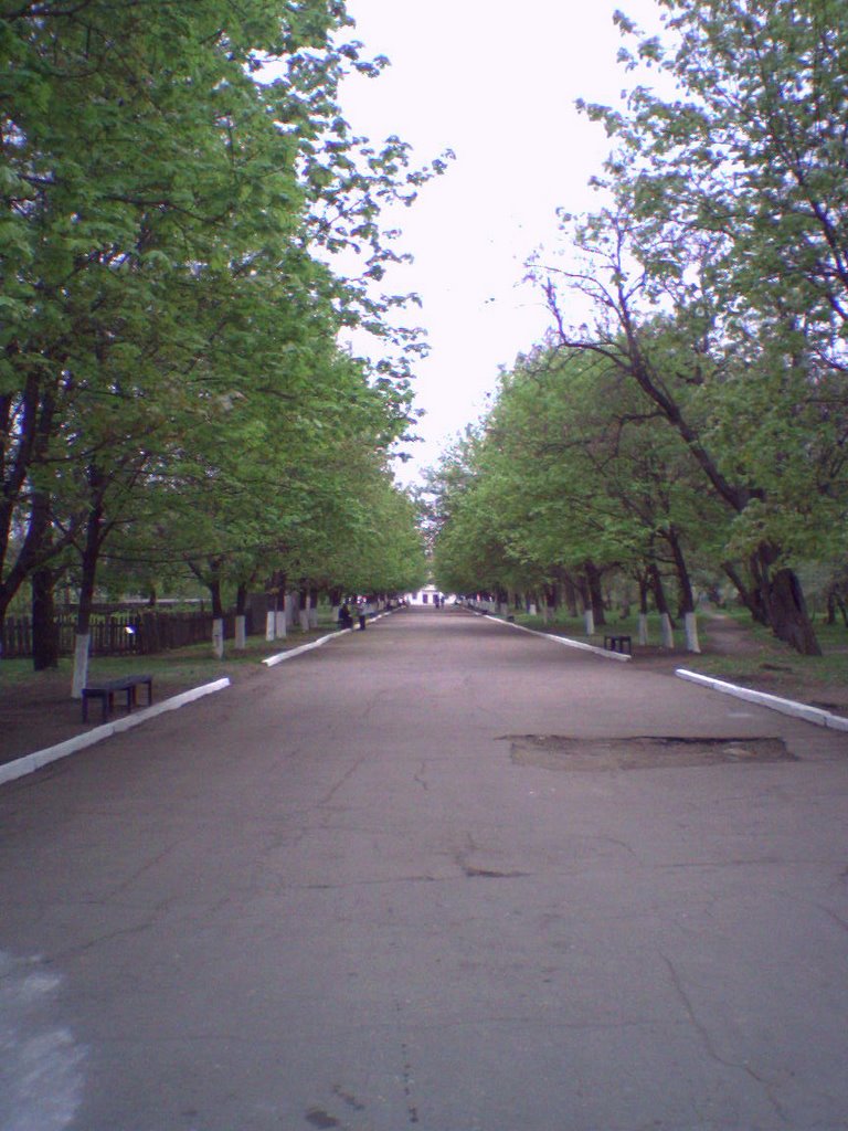 Парк победы (на День Победы все первомайцы здесь)