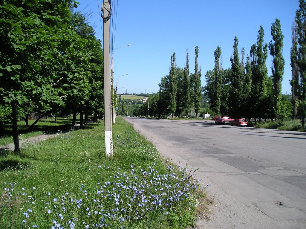 Outskirts of Pervomaisk