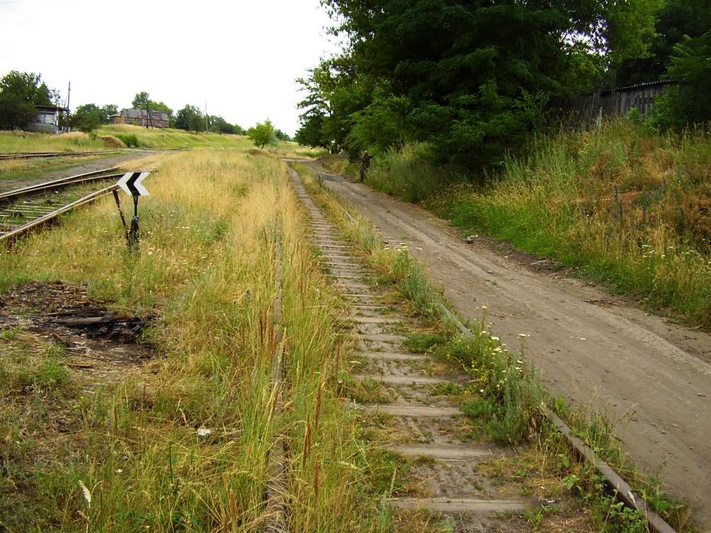 Станция Менжинская