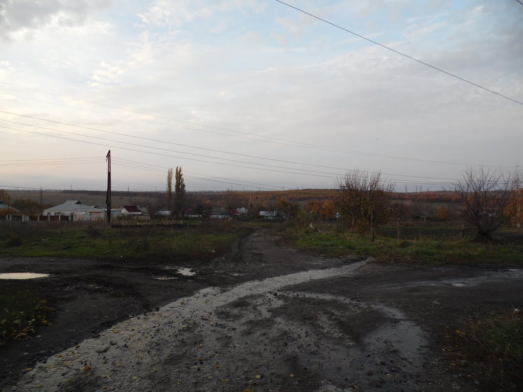 Дорога на Павловск