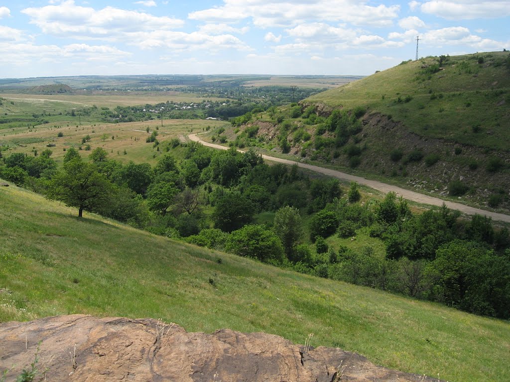 Селезнёвка вдали