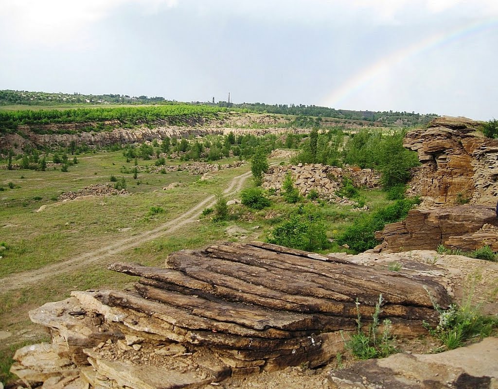 Суровая красота