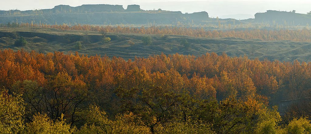 Donbas