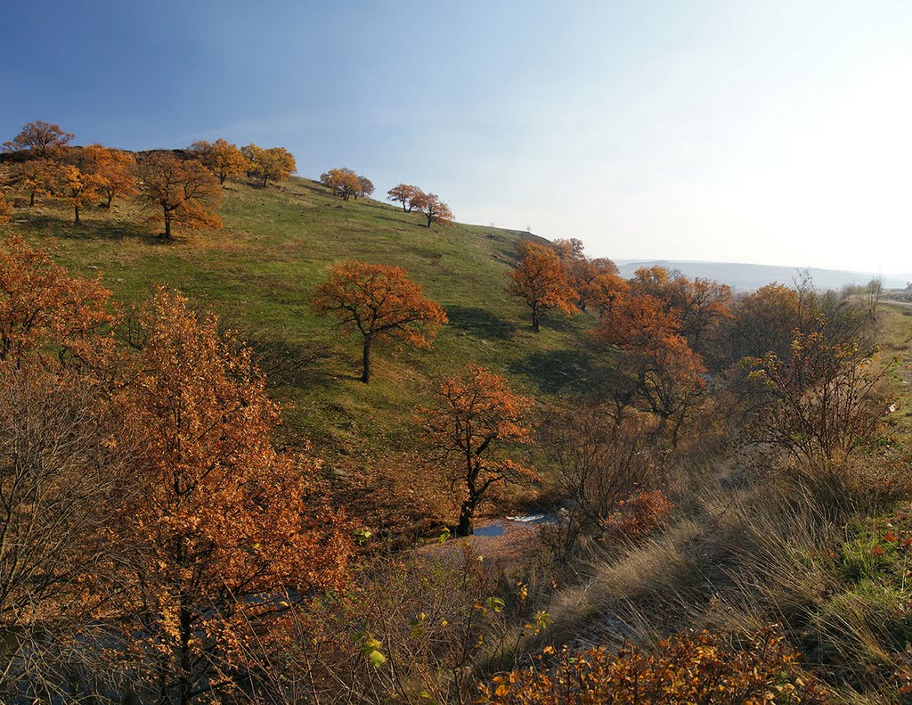 Donbas