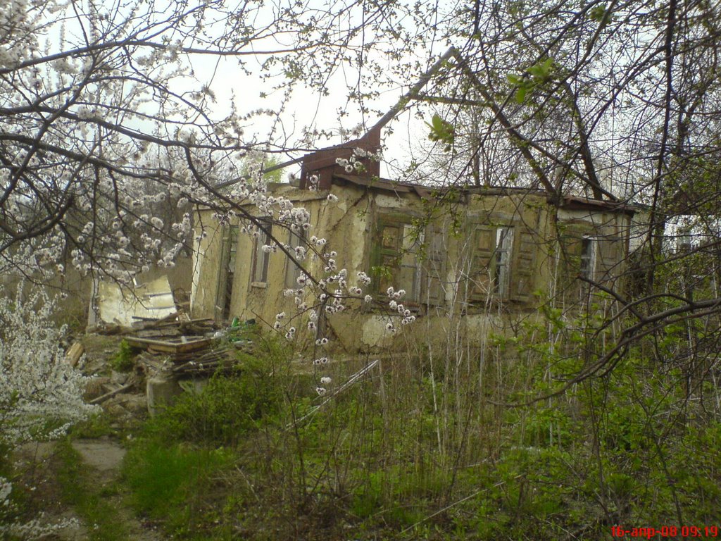Мой домик...