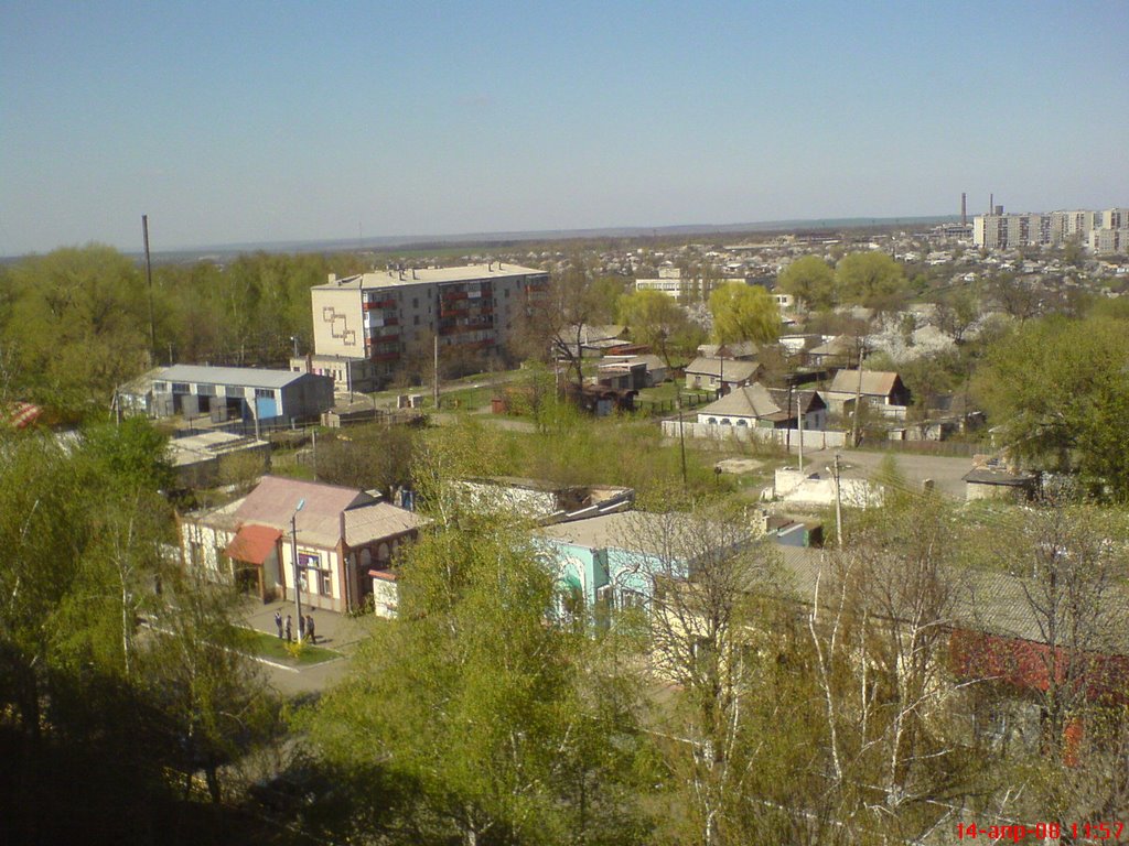 Попасная вид с высоты птичьего полета