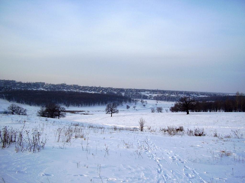 Зимний парк