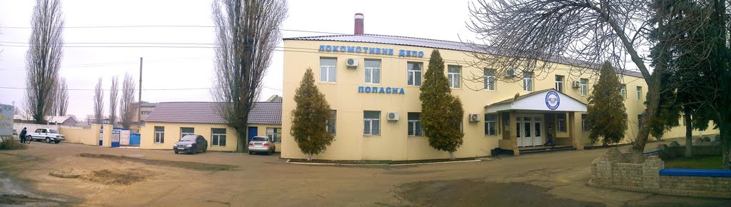 локомотивное депо Попасное