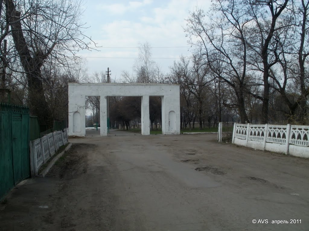 Popasna