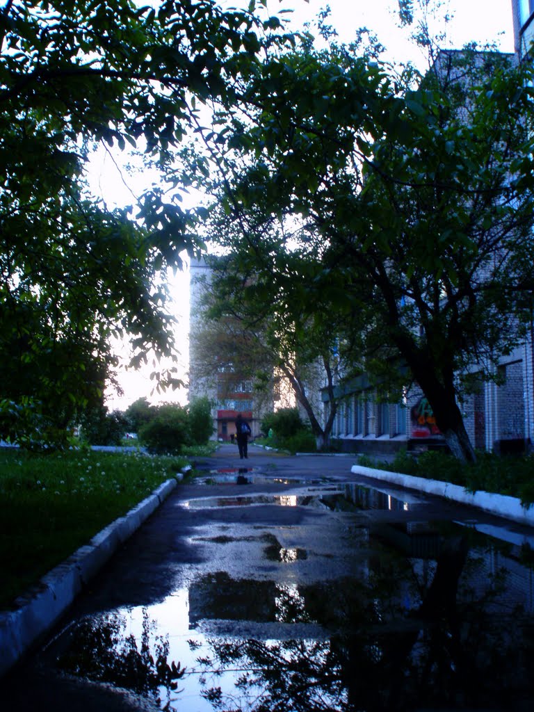 После дождя