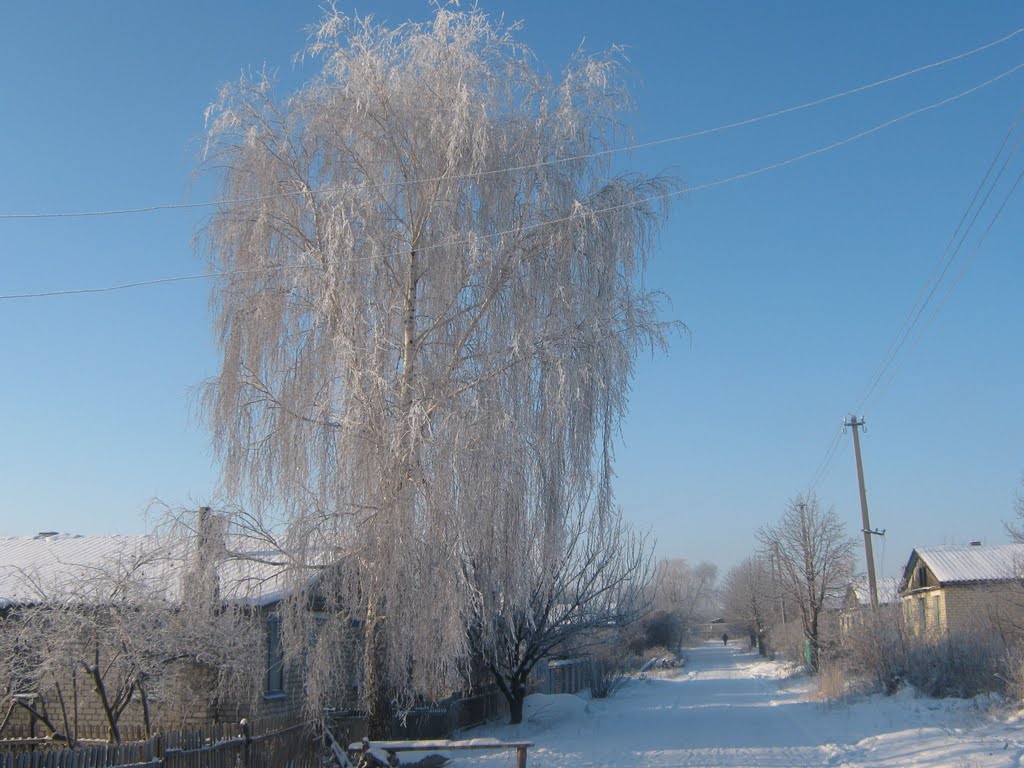 Улица Магистральная, г. Попасная