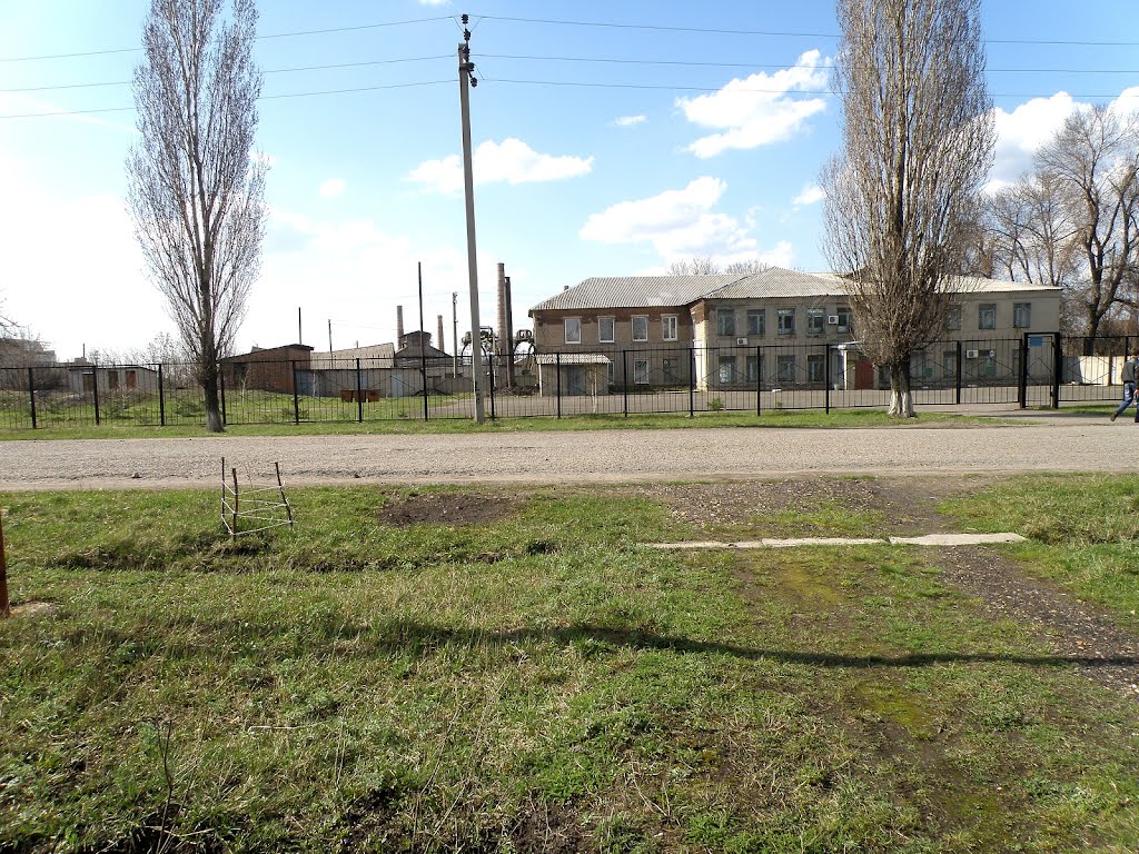 Санэпидемстанция.