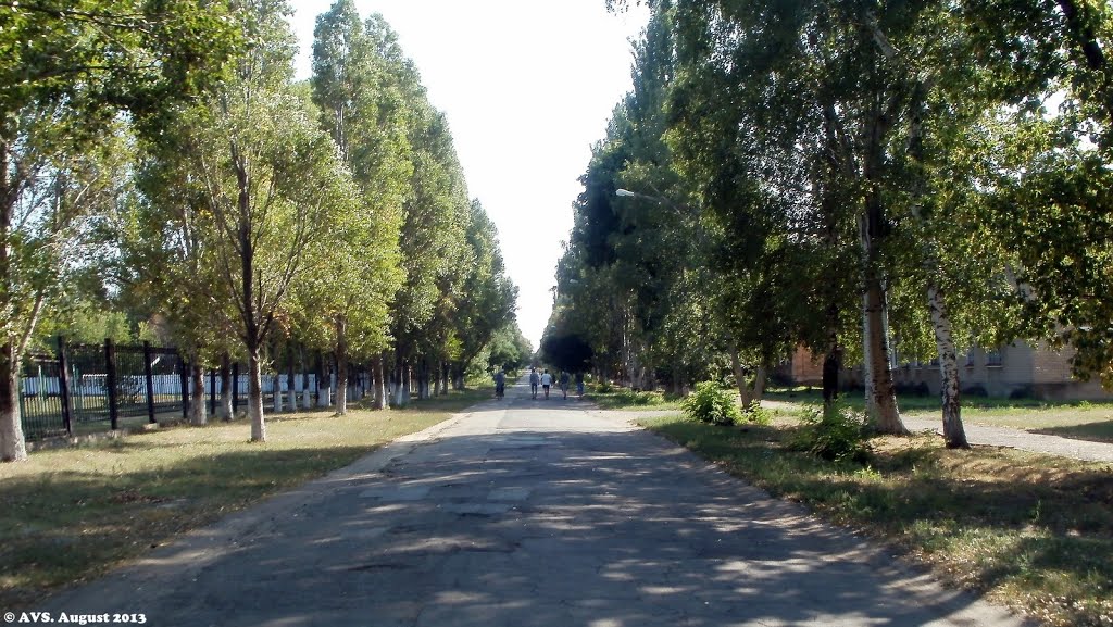 тихая улица Суворова