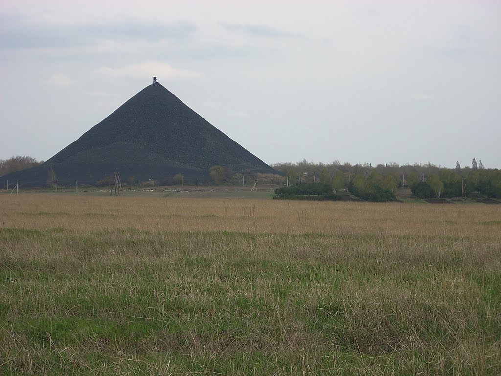 Шахта 81