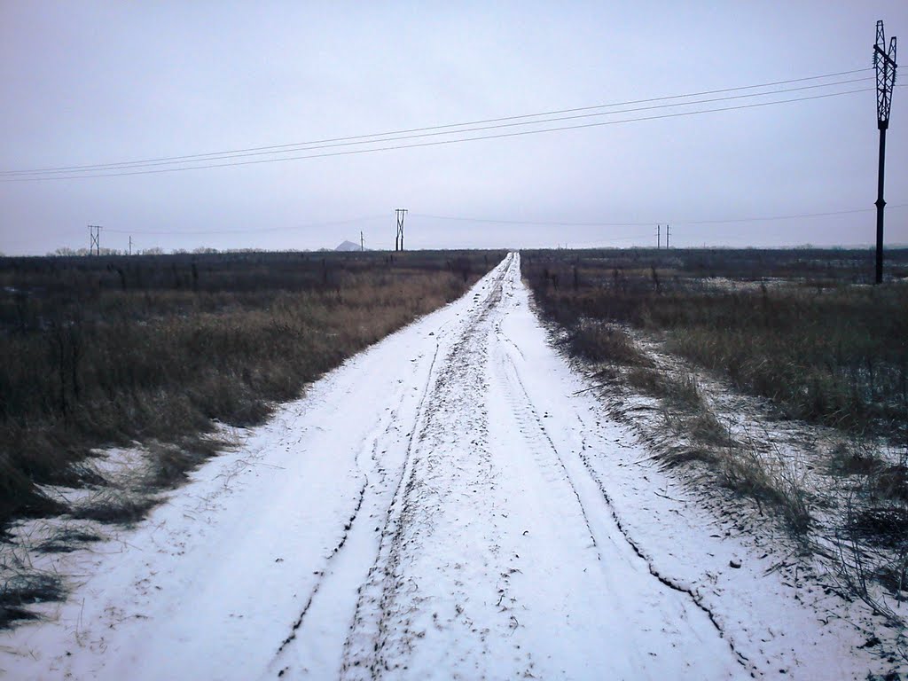 Road in the field