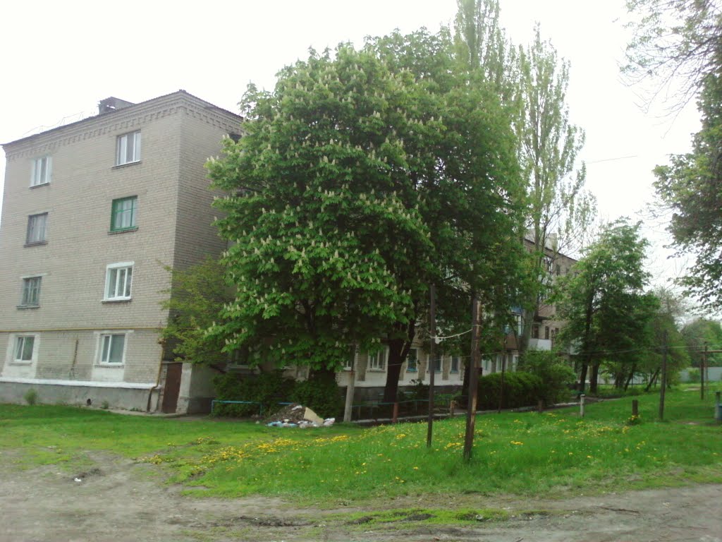 ул.Фрунзе пос.Черниговский