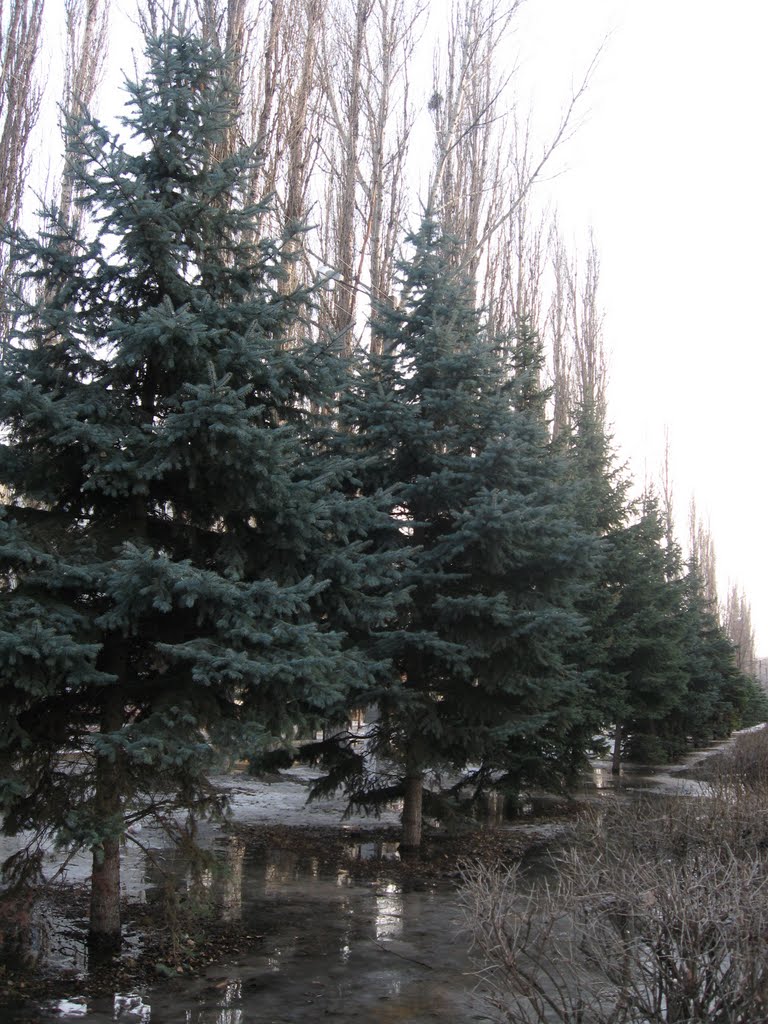 Аллея