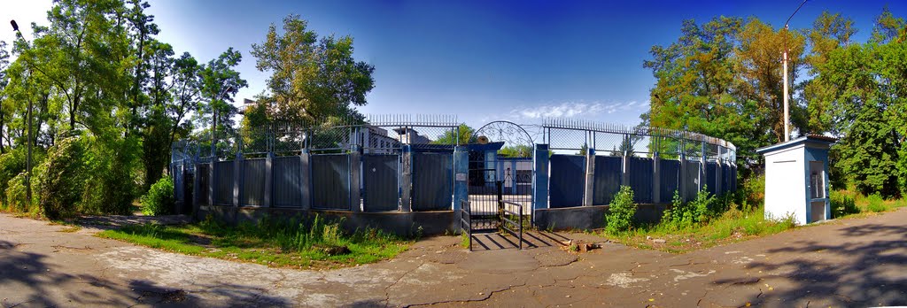 Панорама площадь дискотеки в парке с 5-ти фото