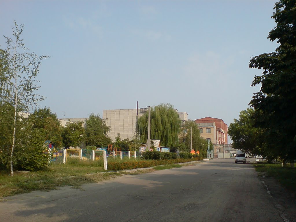 Мельниця